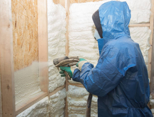 Best Eco-Friendly Insulation Solutions  in Navarre Beach, FL